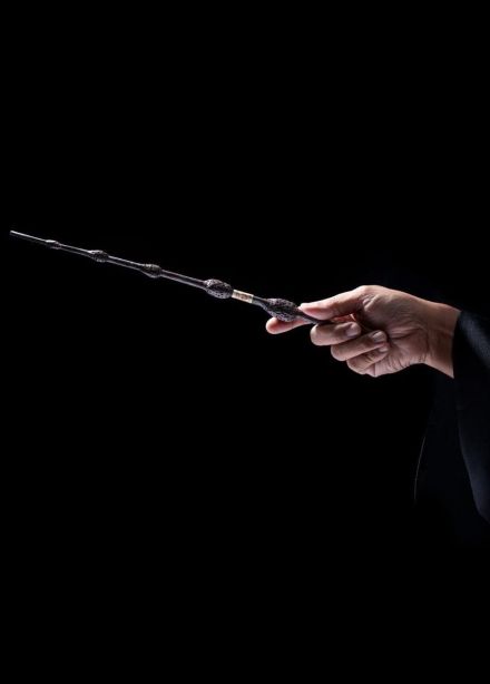 Оркестр Sonorus. Гарри Поттер