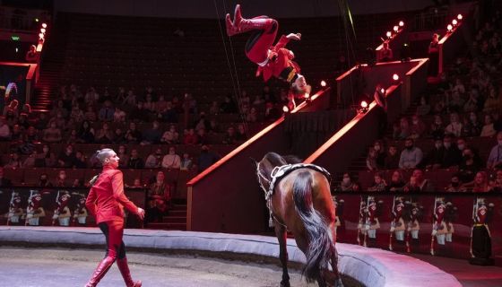 Цирк «Стойкий оловянный солдатик»