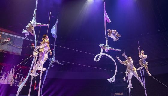 Цирк «Стойкий оловянный солдатик»