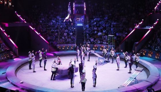 Цирк «Стойкий оловянный солдатик»