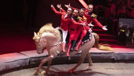 Цирк «Стойкий оловянный солдатик»