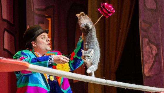 Владимир Куклачёв. Волшебные кошки