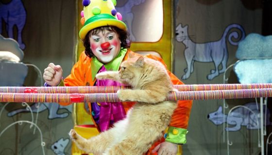 Владимир Куклачёв. Волшебные кошки