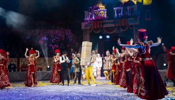 Итальянский цирк: слоны и тигры