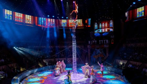 Итальянский цирк: слоны и тигры